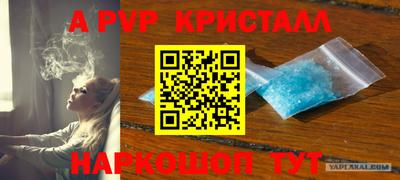 стаф Ставрополь