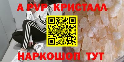 стаф Ставрополь