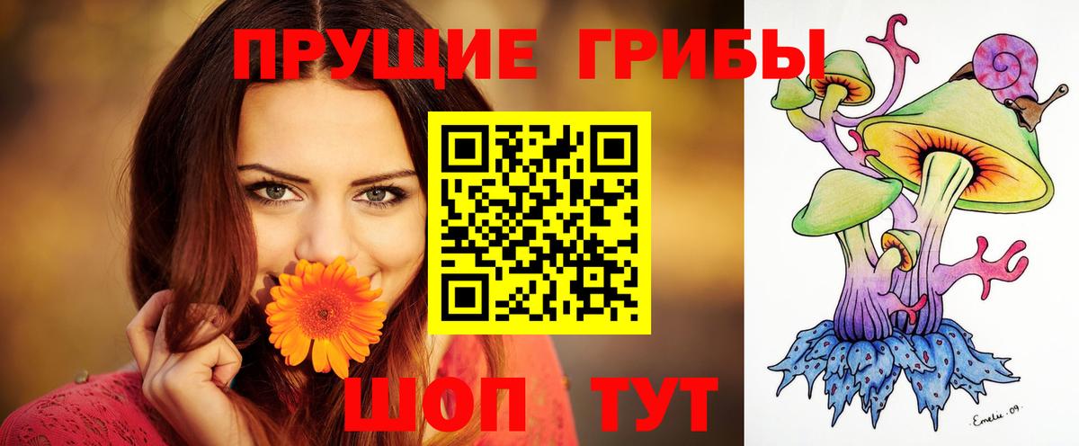 Псилоцибиновые грибы мухоморы Аргун